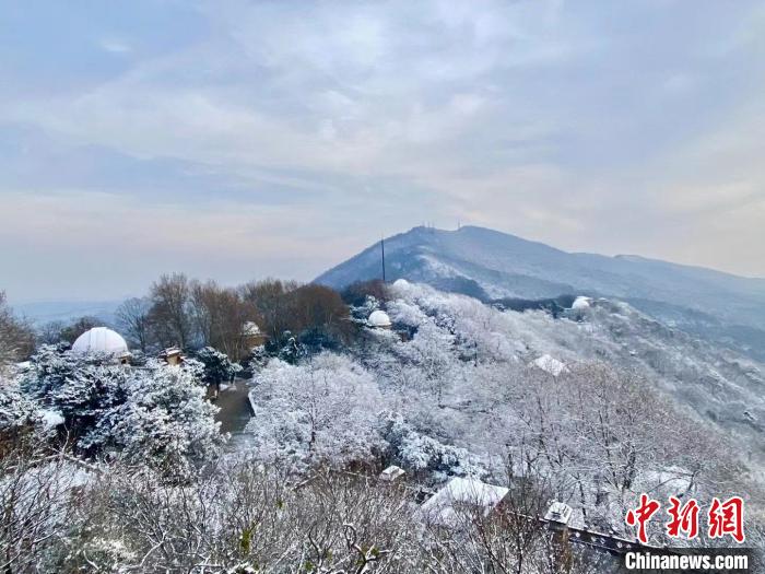 14日，俯瞰南京紫金山雪景。　陳向陽 攝