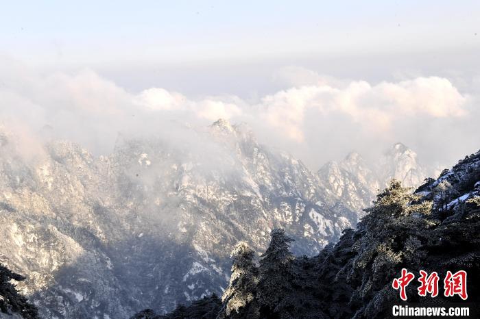雪后黃山，白雪白云相互映襯 王輝 攝