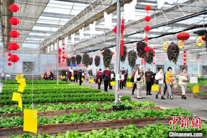 大年初一上午，來長春農(nóng)博園游覽的游客絡繹不絕?！「啐埌?攝