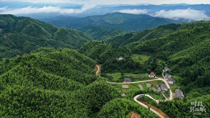 點擊進入下一頁