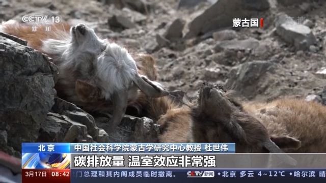 點(diǎn)擊進(jìn)入下一頁