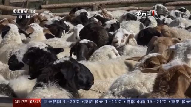 點(diǎn)擊進(jìn)入下一頁