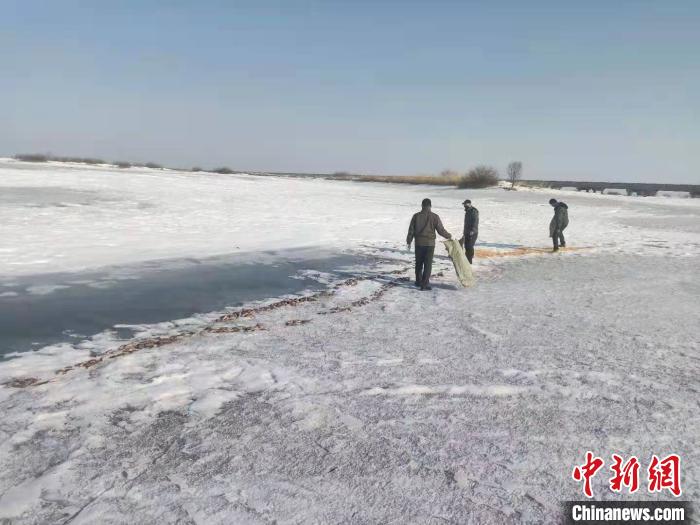 工作人員在投食玉米。撓力河保護區(qū)提供