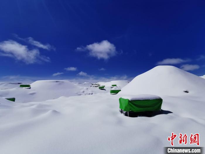 雪后的LHAASO一處探測(cè)器陣列。　中科院高能所 供圖