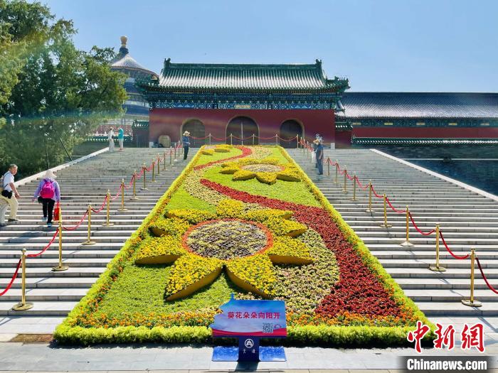 天壇公園的“葵花朵朵向陽開”主題花壇?！”本┦泄珗@管理中心供圖