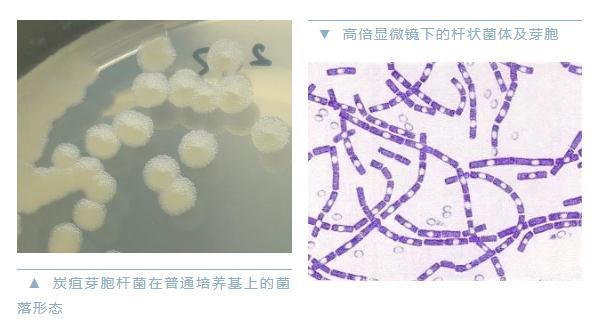 點(diǎn)擊進(jìn)入下一頁(yè)