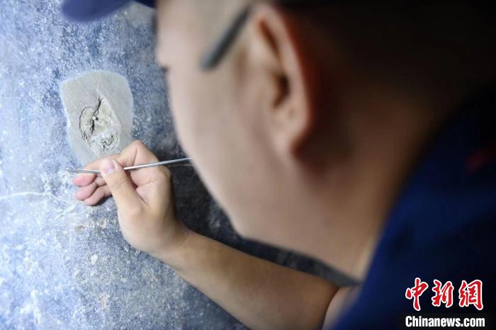 李曉洋正小心翼翼地用修復刀剔除壁畫表面的污染物?！埨?攝