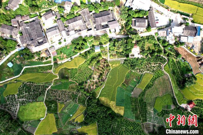 空中鳥瞰林柄村，古厝稻田相得益彰?！⊥鯑|明 攝