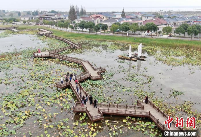 航拍揚(yáng)州沿湖村。　泱波 攝