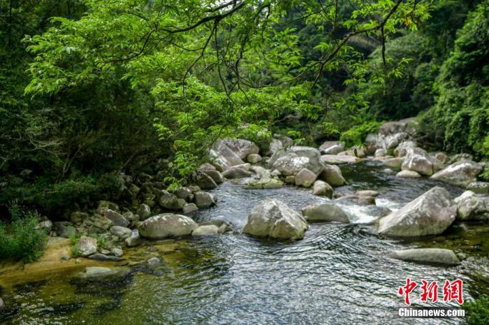 圖為海南熱帶雨林國家公園體制試點區(qū)吊羅山片區(qū)南喜峽谷內(nèi)的河流。