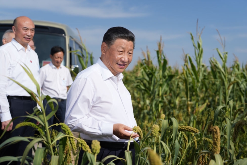 點擊進(jìn)入下一頁