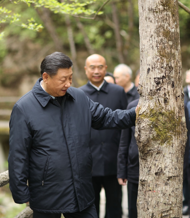 點擊進(jìn)入下一頁