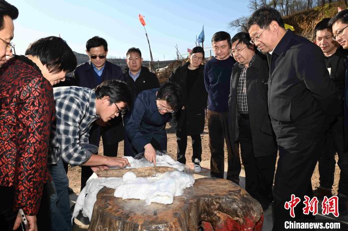 11月12日，山東省文旅廳廳長王磊一行調(diào)研跋山遺址，在工地觀察出土的象牙鏟?！」渥?攝