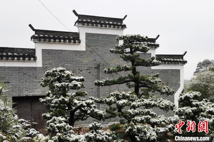 圖為：寧波奉化溪口鎮(zhèn)三十六灣村雪景在粉墻黛瓦襯托下呈現(xiàn)獨(dú)特江南景致?！≡ǔ?通訊員) 攝