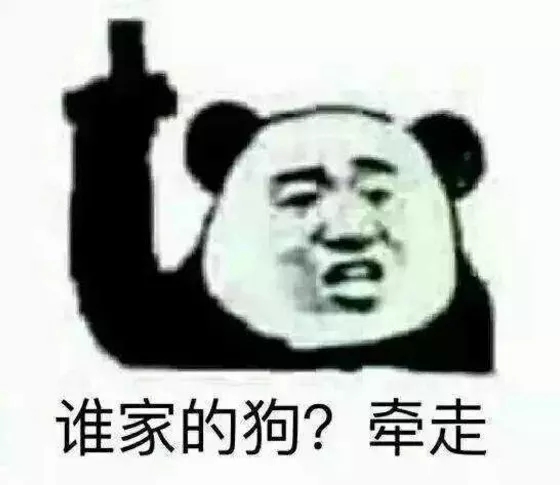 誰家的狗牽走