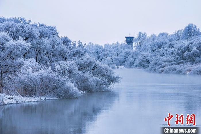 興凱湖的霧凇美景?！∷蝹鬈?攝