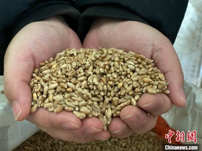 點擊進(jìn)入下一頁