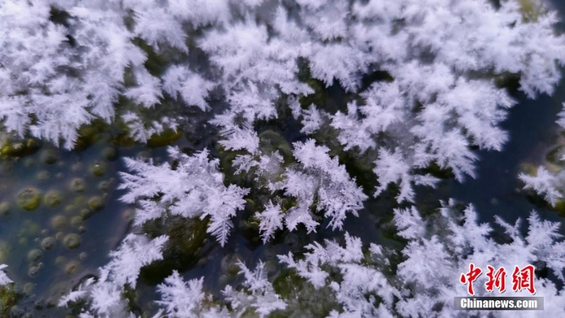 “中國(guó)冷極”河面上開出朵朵“冰蓮花”