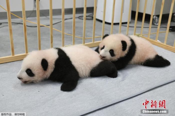點(diǎn)擊進(jìn)入下一頁