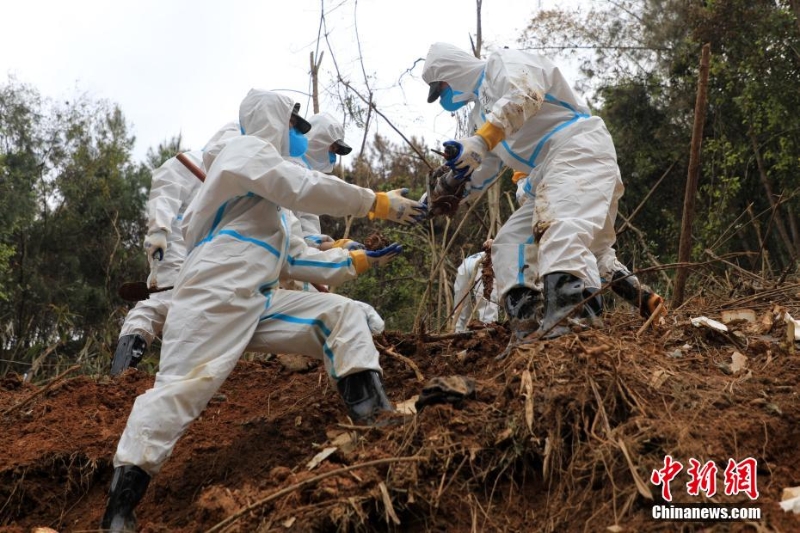 東航墜機(jī)救援現(xiàn)場(chǎng)：武警官兵分批次、分區(qū)域搜索