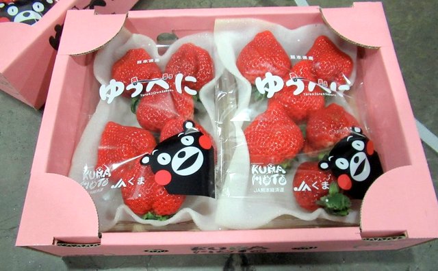 日本進口的草莓因農(nóng)藥超標而遭退運。（照片：臺“食藥署”提供） 圖片來源：香港“中評社”.jpg