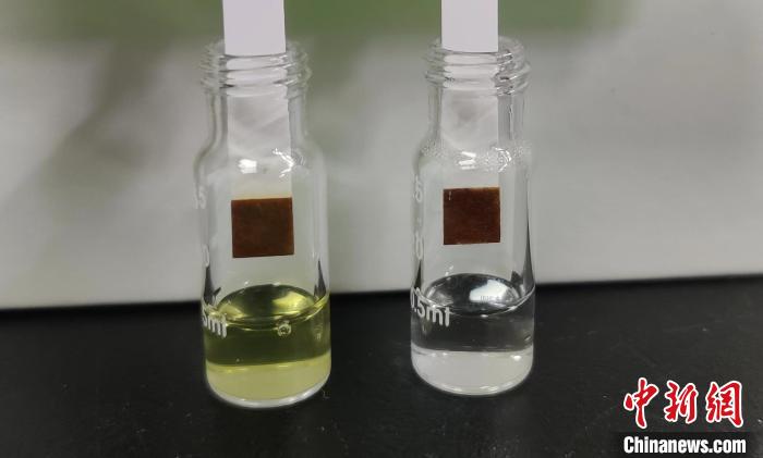 改造后用于制備葡萄糖的酵母菌株發(fā)酵液(棕色溶液)，及制備的葡萄糖(白色溶液)?！⊙芯繄F隊 供圖