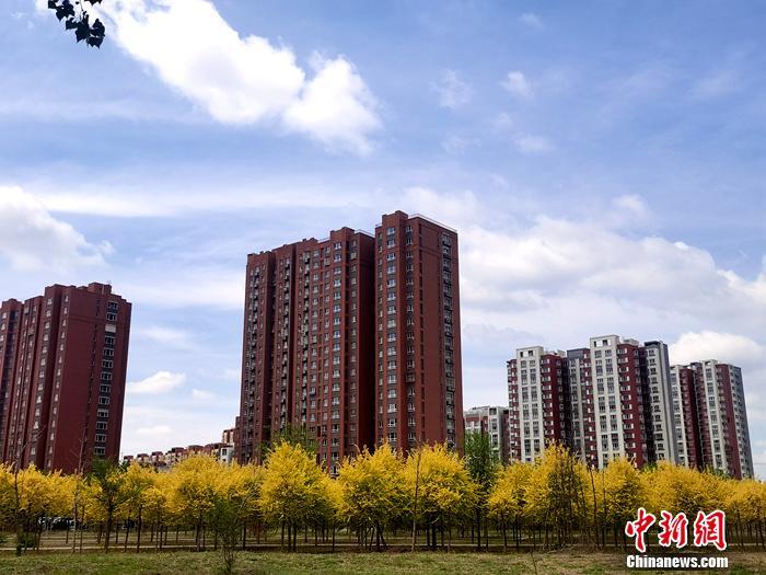 資料圖。<a target='_blank' href='/' >中新網</a>記者 李金磊 攝
