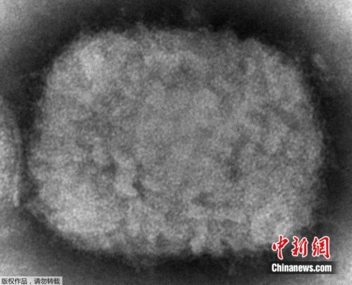 點擊進(jìn)入下一頁