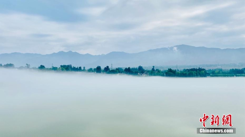 青海尖扎：薄霧、群山、綠樹(shù)勾勒黃河夏日?qǐng)D景