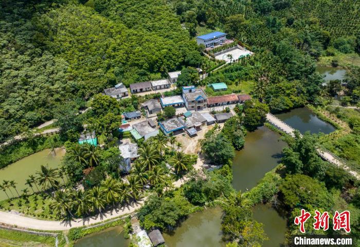 圖為航拍海南省保亭黎族苗族自治縣什玲鎮(zhèn)水賢村?！●樤骑w 攝