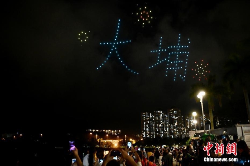 香港大埔海、陸、空匯演慶回歸