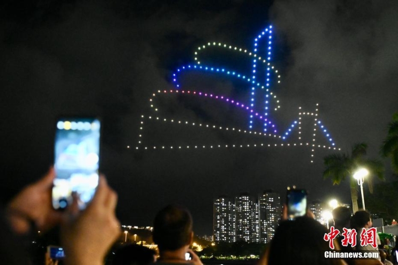 香港大埔海、陸、空匯演慶回歸