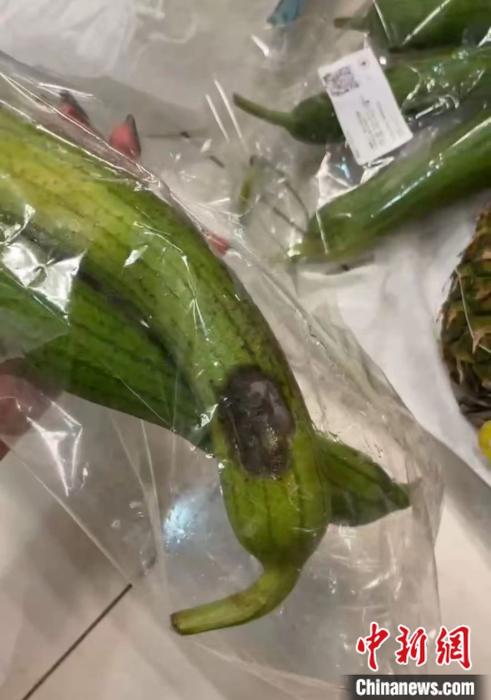 一消費(fèi)者向中新財(cái)經(jīng)展示其在某生鮮電商買到的爛絲瓜。 受訪者供圖。