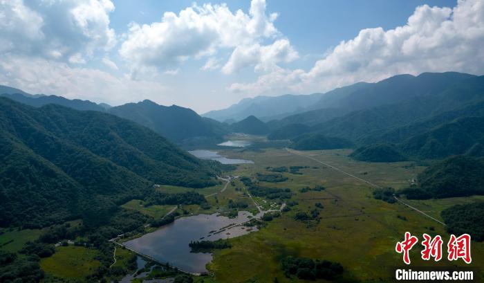 航拍神農(nóng)架大九湖高山濕地風光