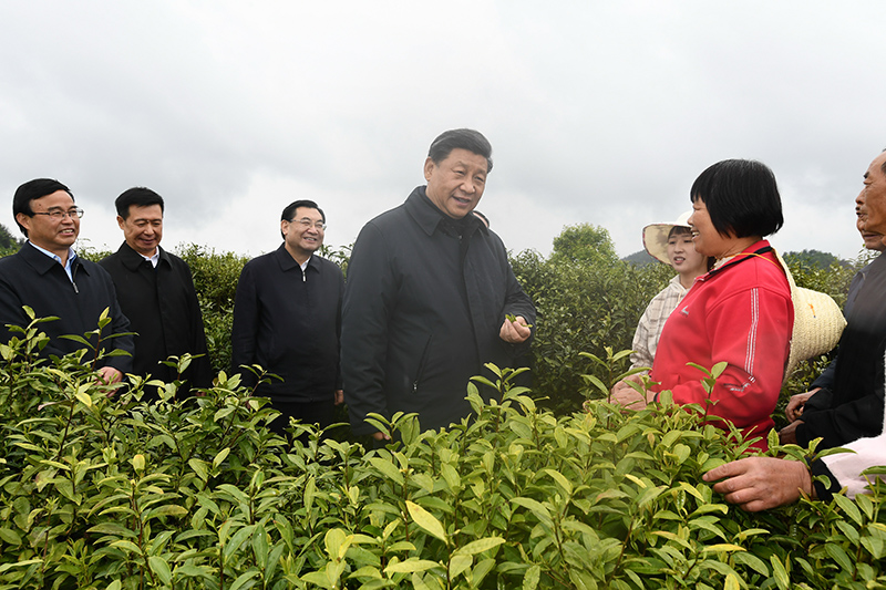 　2020年4月21日，習(xí)近平總書記在陜西省安康市平利縣老縣鎮(zhèn)蔣家坪村女媧鳳凰茶業(yè)現(xiàn)代示范園區(qū)，同茶農(nóng)們親切交談。