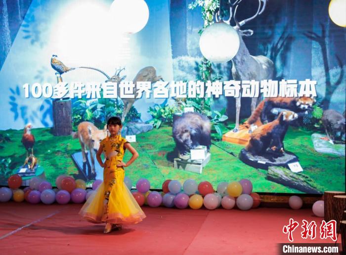 圖為青少年參加貴州省地質(zhì)博物館晚上舉辦的舞臺(tái)秀活動(dòng)?！≠F州省地質(zhì)博物館供圖