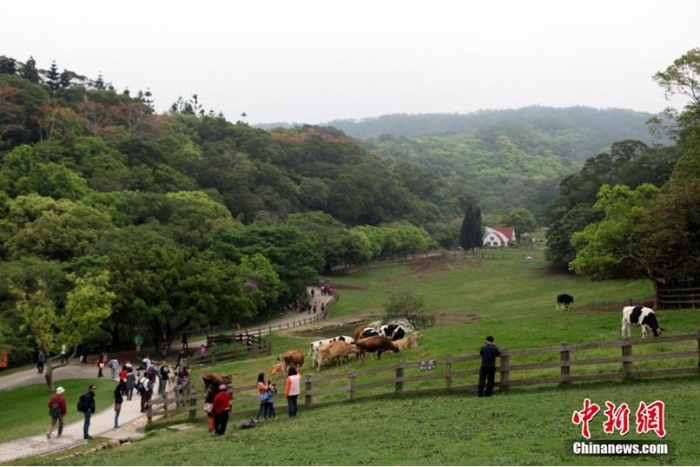 資料圖：臺灣休閑農(nóng)業(yè)、鄉(xiāng)村旅游名點(diǎn)——苗栗飛牛牧場。陳立宇 攝