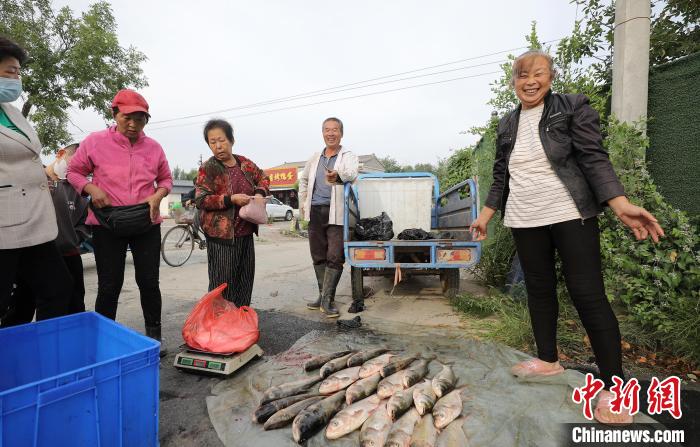 新鮮魚獲上市?！￡惪?攝