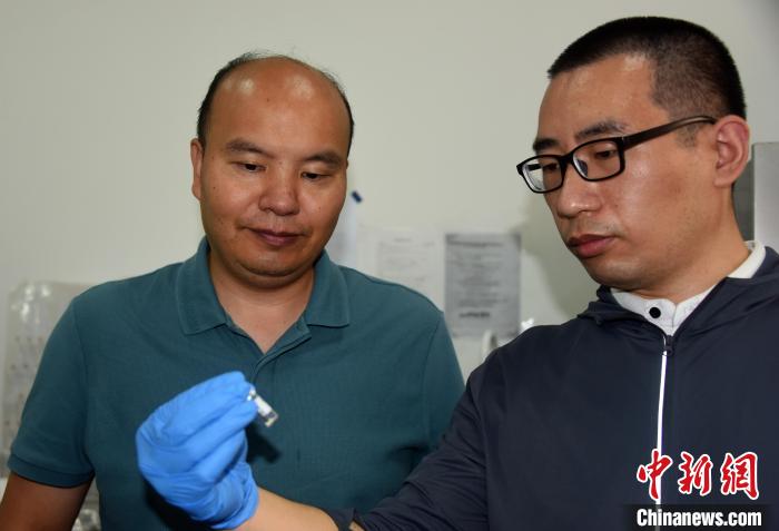 國考大考古系主任楊益民教授(左)、國科大特別研究助理韓賓博士在一起交流?！?lt;a target='_blank' href='/'>中新社</a>記者 孫自法 攝