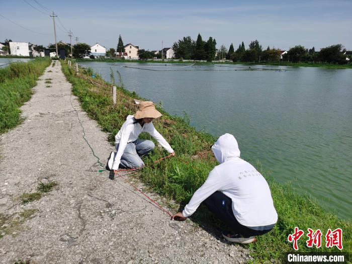 高校師生普查浙江24個(gè)縣市區(qū)發(fā)現(xiàn)165種外來(lái)入侵植物