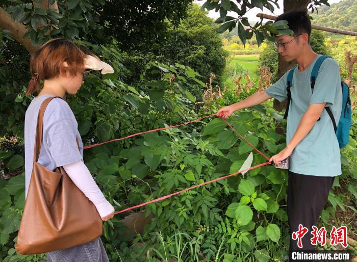 師生在普查外來(lái)入侵生物 林萱 攝