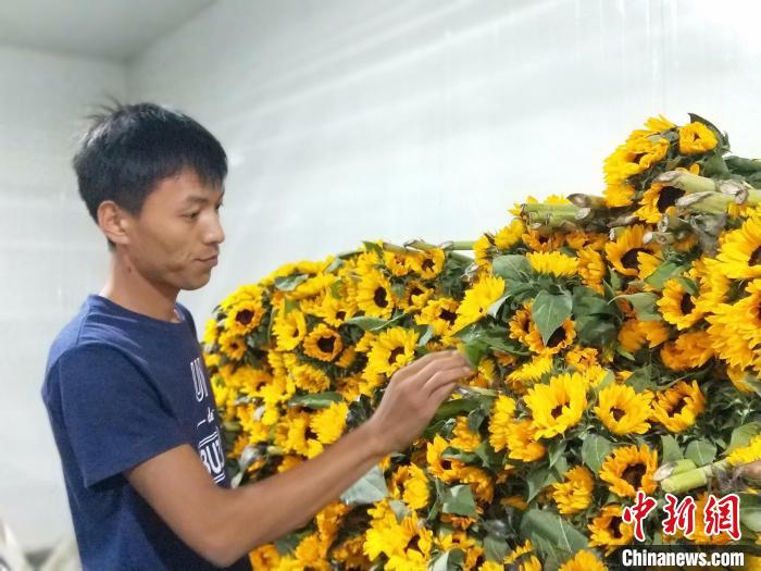 李建耀查看儲備的鮮花情況?！≮w國華 攝