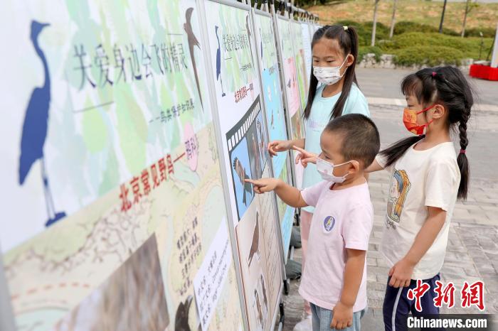 圖為小朋友們了解鳥類知識。　北京市園林綠化局供圖