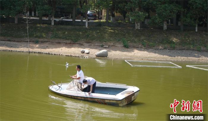 鄱陽(yáng)湖保護(hù)區(qū)和湖北秀湖植物園工程師對(duì)擬選基地的水源水質(zhì)狀況進(jìn)行勘察。　鄱陽(yáng)湖保護(hù)區(qū) 供圖