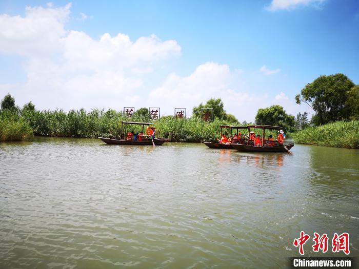 游客乘船進(jìn)入鹽城大縱湖“蘆蕩迷宮”?！∩虼毫?攝