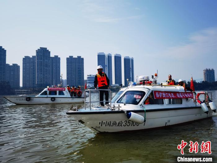 福建省海洋與漁業(yè)執(zhí)法部門在閩江流域加強執(zhí)法巡查。　福建省海洋與漁業(yè)執(zhí)法總隊 供圖