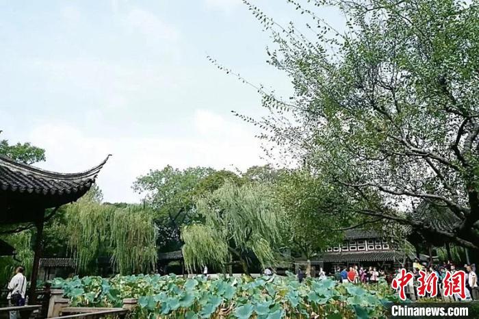 拙政園布局的山島、竹塢、松崗、曲水之趣。圖片來源：臺灣《聯(lián)合報》