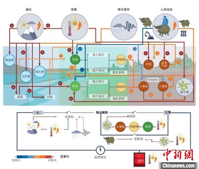 中國科研人員揭示青藏高原上的碳氮循環(huán)變化及驅(qū)動(dòng)機(jī)制