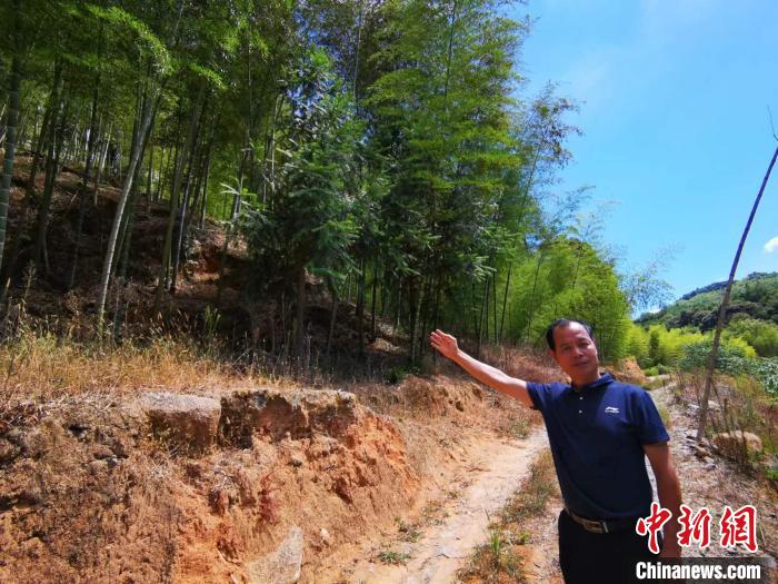 陳毅翔手指處就是當(dāng)年5位紅軍戰(zhàn)士戰(zhàn)斗犧牲的地方——楊梅嶺?！±壮?攝