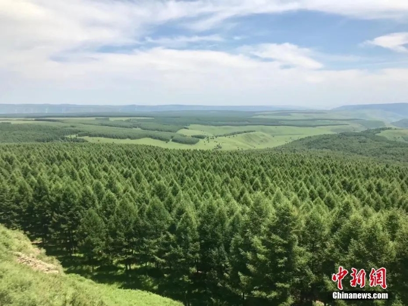 資料圖：塞罕壩林場(chǎng)。圖片來(lái)源：視覺(jué)中國(guó)
